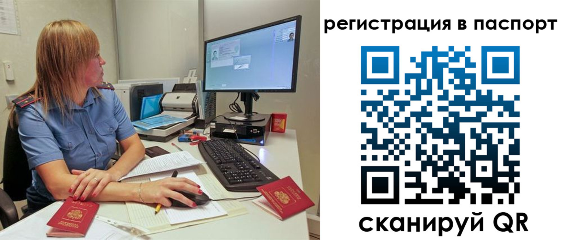 регистрация для школы в Волосово