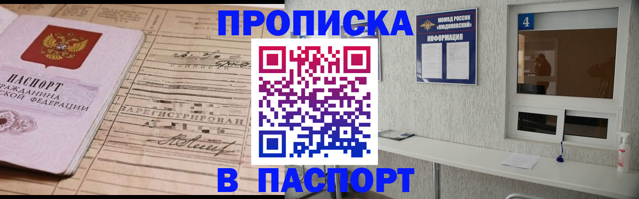 временная регистрация в Волосово